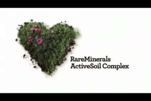 What’s Behind The 2D Tag?