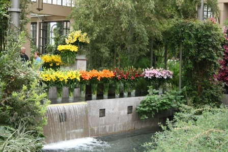 Live From Lilytopia