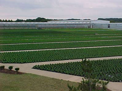 Battlefield Farms