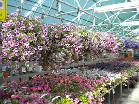 Montgomery’s Colorado Retail Report