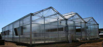 Altman Plants