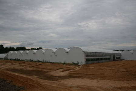 Slideshow: Nash Greenhouse