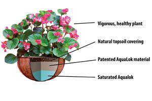 Slideshow: Aqualok