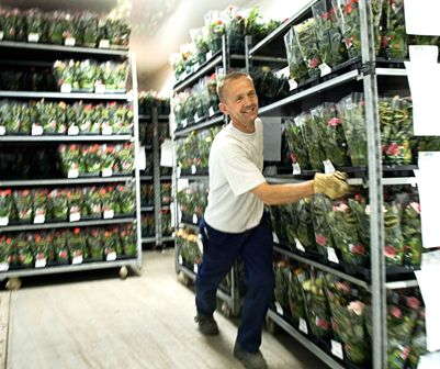 Container Centralen Adopts RFID System