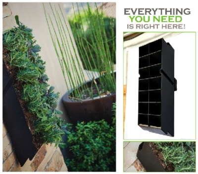 The Living Wall