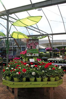 Diverse Building Blocks In Sync