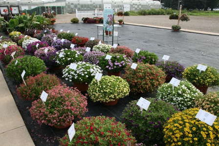 Slideshow: Zylstra Greenhouses