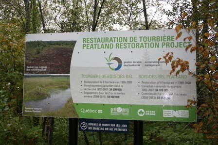 Slideshow: Tour A Restored Peatland