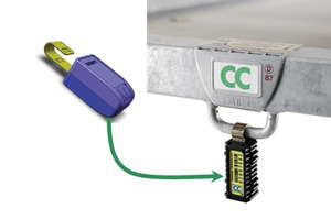 Minimizing Cart Loss