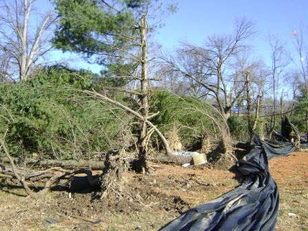 Slideshow: Tornado Strikes N.G. Heimos Greenhouse
