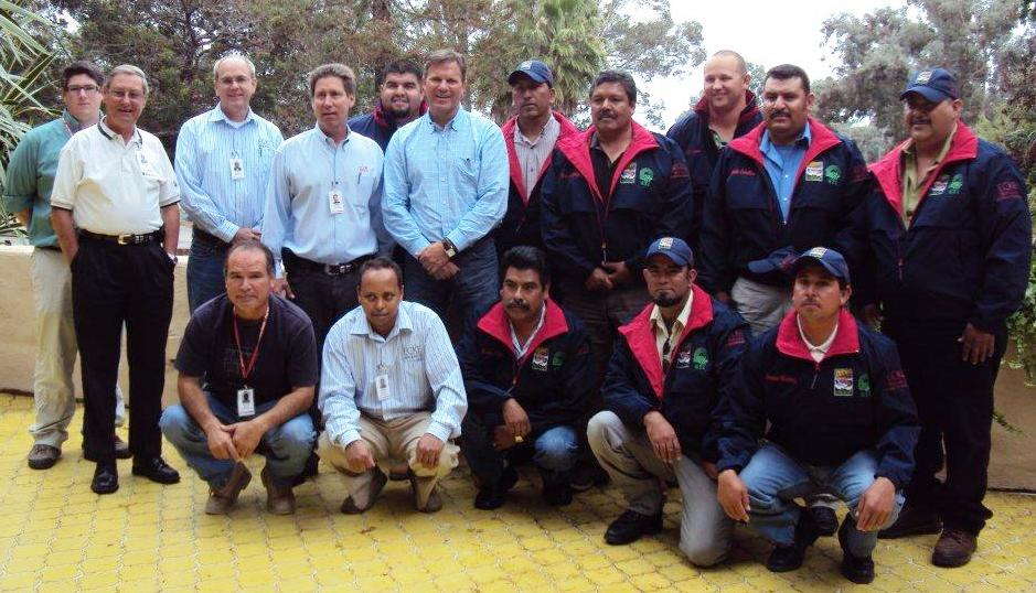 Proactive With Poinsettias