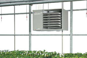 Embracing Energy Efficiency