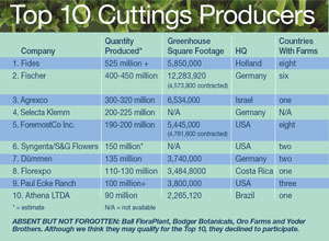 Growing On The Cutting Edge