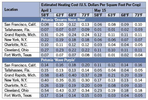 Energy-Efficient Annuals: Petunias