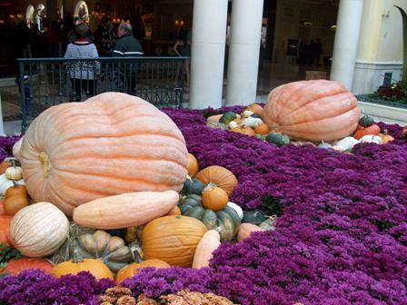 Slideshow: Bellagio Gardens In Vegas