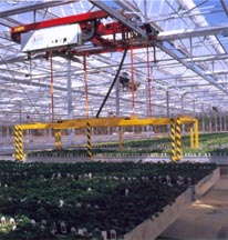 Timberline Nursery