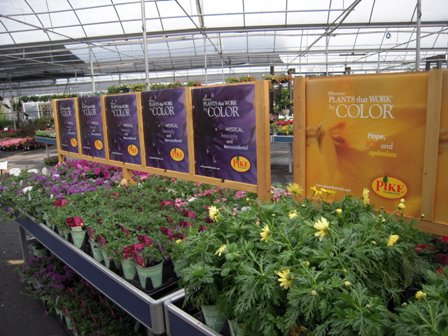 Montgomery’s Atlanta Retail Report