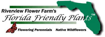 Riverview Flower Farm