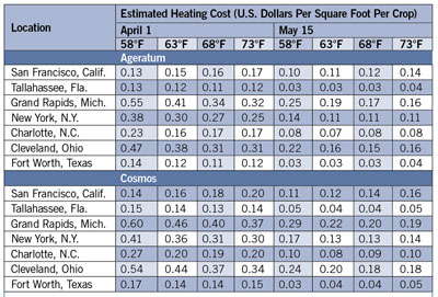Energy-Efficient Annuals: Ageratum & Cosmos