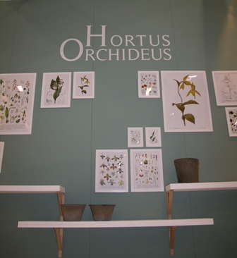 Europeans Embracing Merchandising