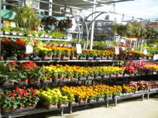 Not Much New At National Retailers