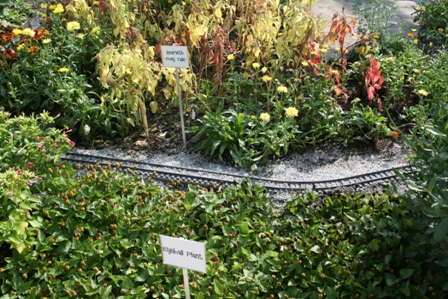 Slideshow: Michigan State University Trial Gardens