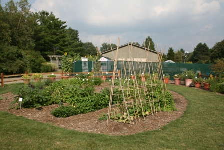 Voices For Food To Address Food Security In Four Michigan Communities