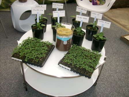 Fafard Gains Right To Add Osmocote Start To Mixes