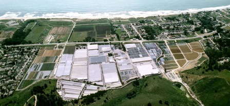 Nurserymen’s Exchange