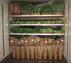 Moving Plants Without Losing Profits