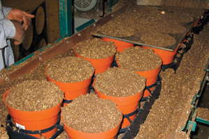 Is Wood A Viable Media Component?