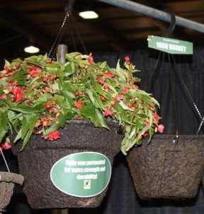 Fiber Pots: Past And Future