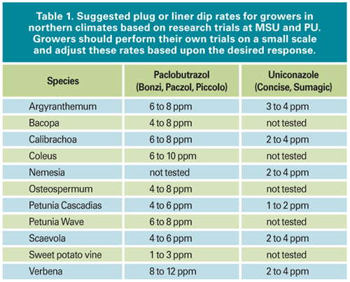 Getting Results With A Liner Dip