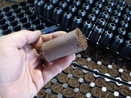 Slideshow: Pot & Tray Product Roundup