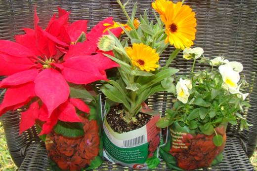 Ellepot Develops Biodegradable Retail Bag