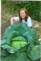 Bonnie’s Cabbage Contest Grows Gardeners