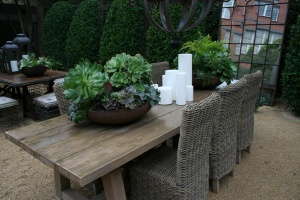 The Top Four Succulent Genera