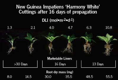 Getting The Most Out Of Light Measurements