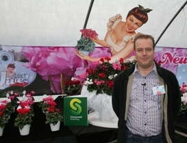 Schoneveld Shows Off Jive Cyclamen