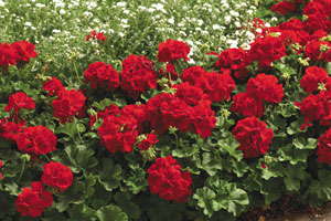 Montgomery: The Five Game-Changing Products Of 2009