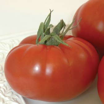 National Garden Bureau Announces ‘Year Of The’ Crops