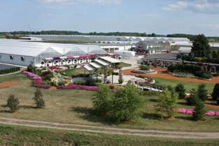 Four Star Greenhouse