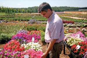 Metrolina’s Flower Trials Go The Extra Mile