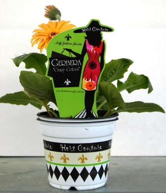 Hort Couture Streamlines Supply