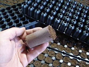 Ellepots Has New Tray Option