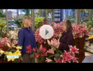 Lilies Again The Talk On ‘Martha Stewart’