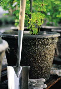 The Natural Fiber Container