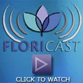 Podcasting On PourThru Monitoring
