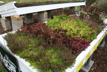 Raker Trial Gardens Highlights