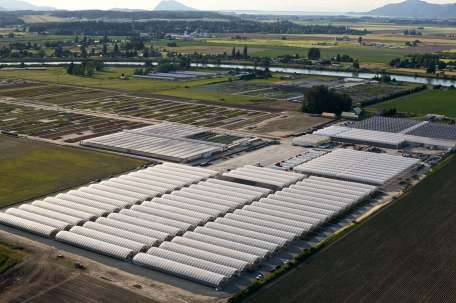Growing Younger, Growing For Green